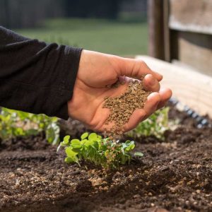 Biofertilizers